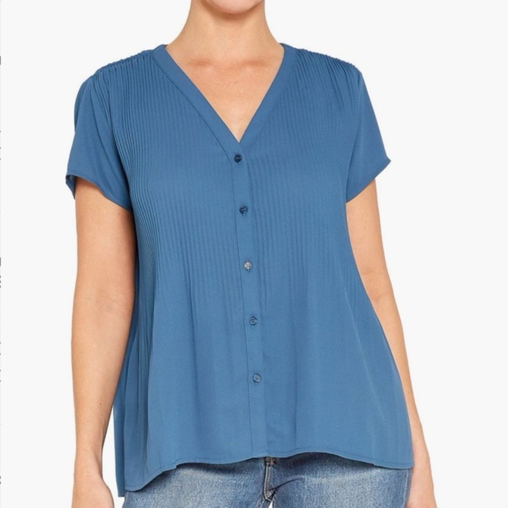 Pleione Blue Button Down Blouse